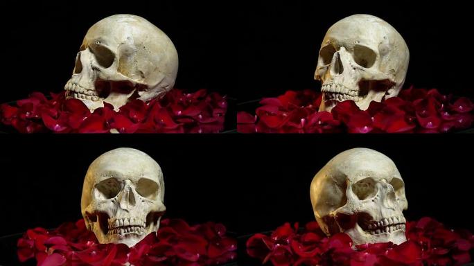 玫瑰花瓣中的头骨