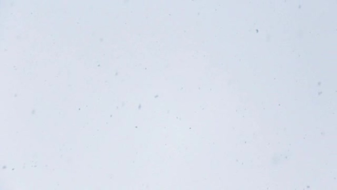 缓缓飘落的雪花对着洁白的天空