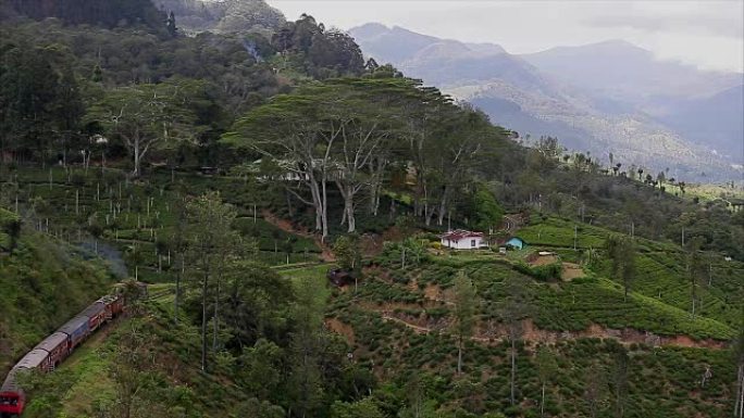 Train moving through coutryside