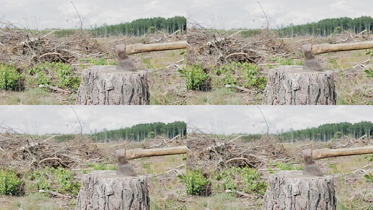 森林砍伐，树桩上的斧头
