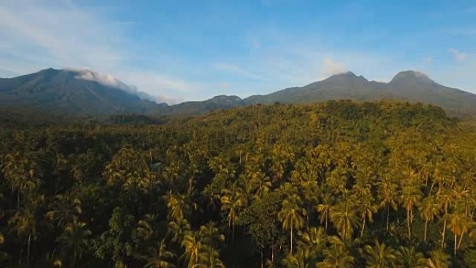 热带森林的山脉。菲律宾卡米金岛