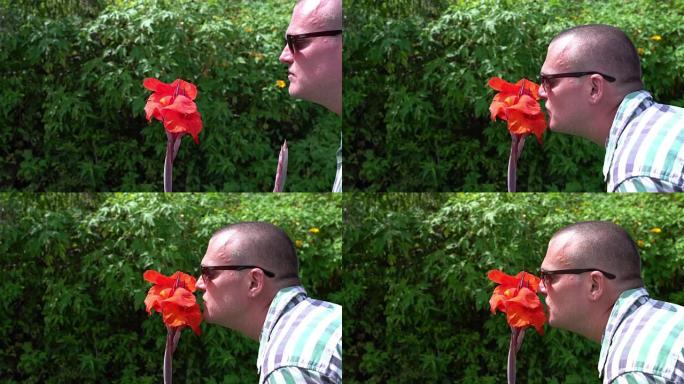 一个男人嗅着一朵美丽的红花