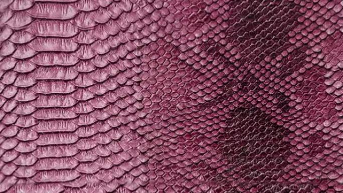 粉色蛇皮背景。特写。