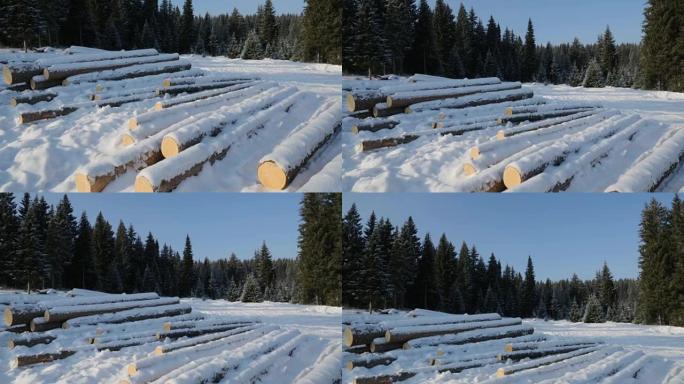 森林中的雪地上的一堆原木
