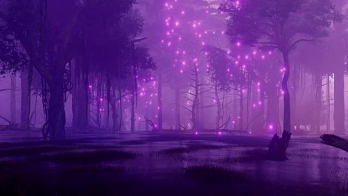 带有神秘萤火虫灯的夜间森林沼泽