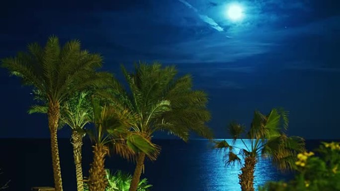 在热带海岸上空升起的月亮，在天空中飞过真正的陨石