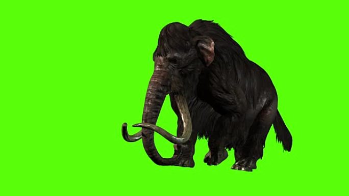 3D渲染动画-绿屏上的猛犸象攻击方