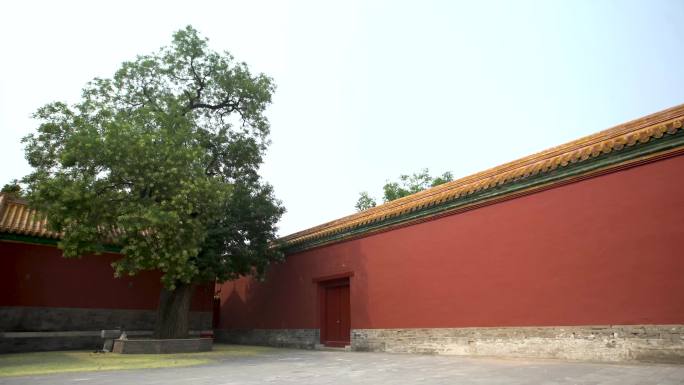 北京故宫  中国历史 老房子