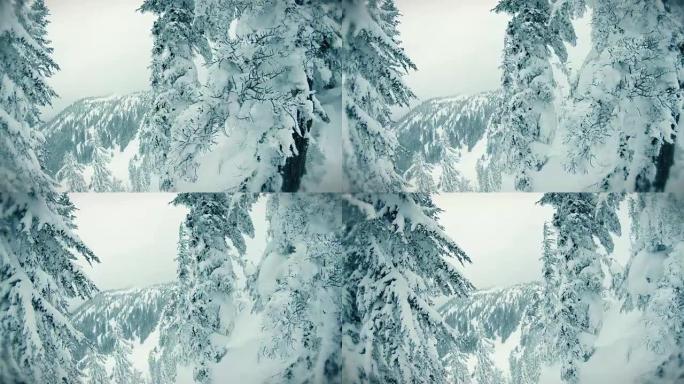 电影鱼眼雪环境山树
