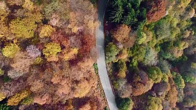 在五颜六色的乡村秋天森林中，高架空中俯视图跟随道路。秋天的橙色，绿色，黄色的红树树林。街道路径建立。