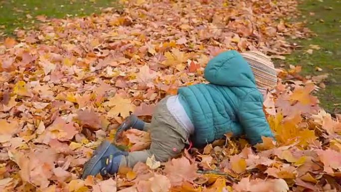 孩子在秋天的木头，爬行和沐浴在叶子上