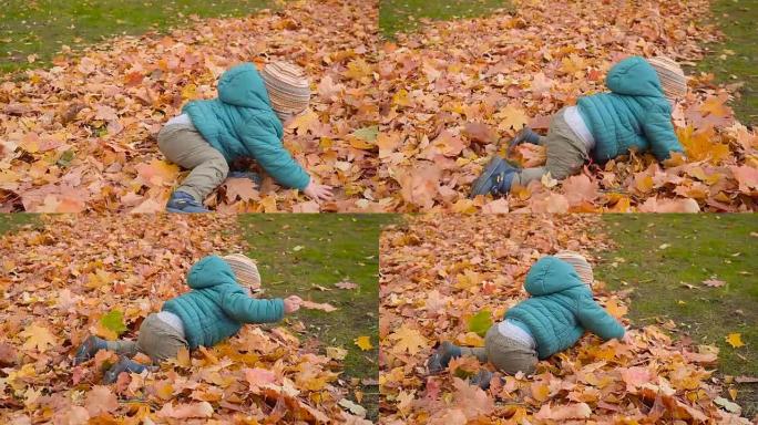 孩子在秋天的木头，爬行和沐浴在叶子上