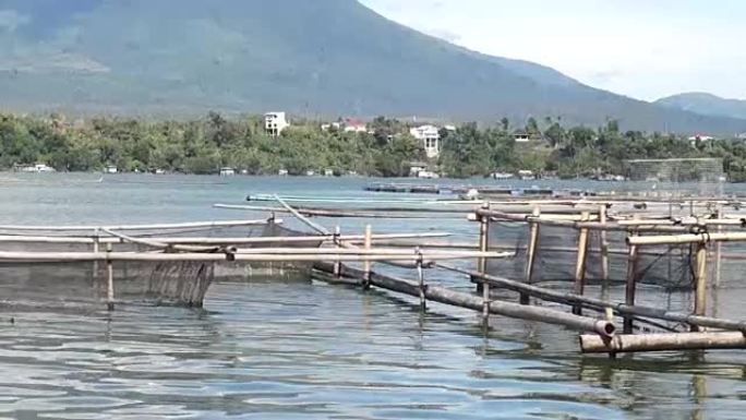 用于小型水产养殖的竹子结构，可维持在湖岸建造的少数渔民的生计。跟踪镜头