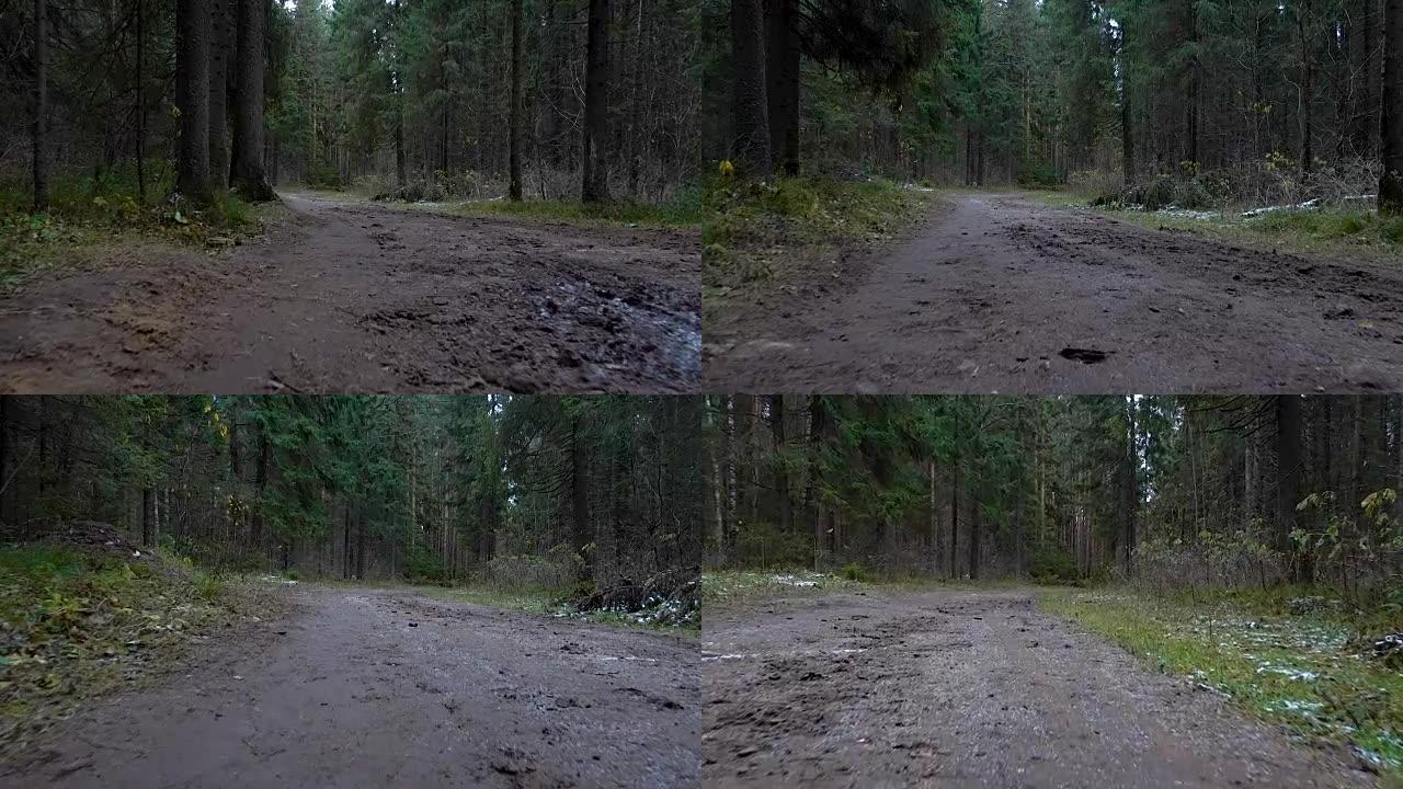 在森林中拍摄肮脏的道路