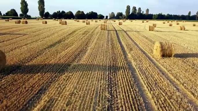 飞过一捆捆干草的金色田野。惊人的直平收割和农田的金色稻草和黄色小麦准备的耕作堆栈。飞越收获的田地。