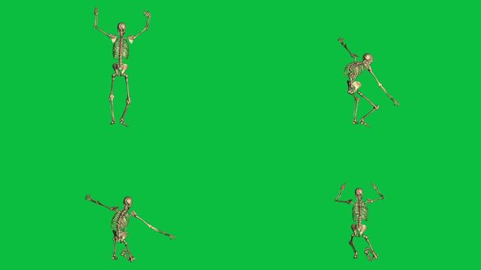 骷髅投降的3d动画-在绿色屏幕上分开