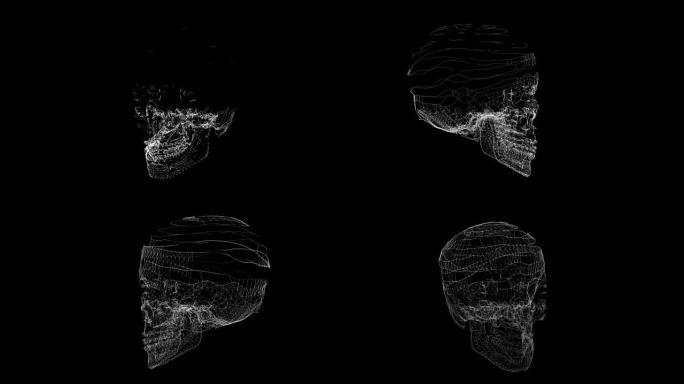 人类头骨动画网格。未来主义线框头骨旋转。头骨概念
