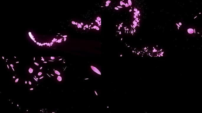 樱花的旋转，CG动画