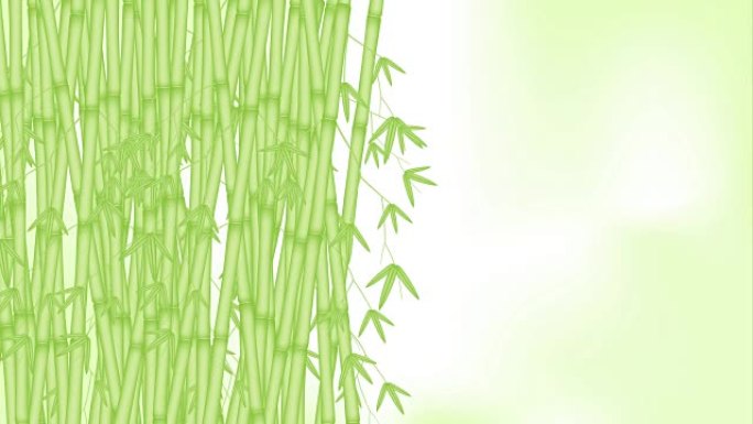 竹林随风移动循环和复制空间动画4k模糊绿色背景与阿尔法通道