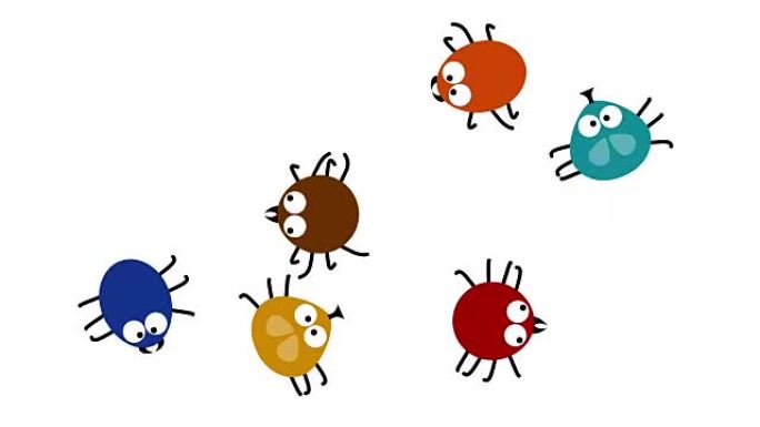 有趣的彩色昆虫在白色上爬行，2d动画卡通，无缝循环