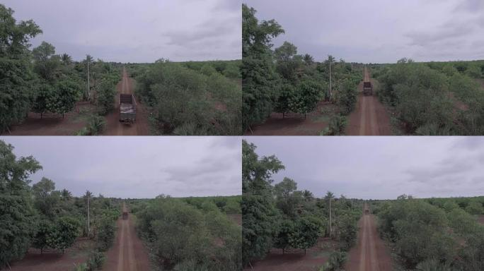 卡车在尘土飞扬的道路上行驶，穿过热带植被