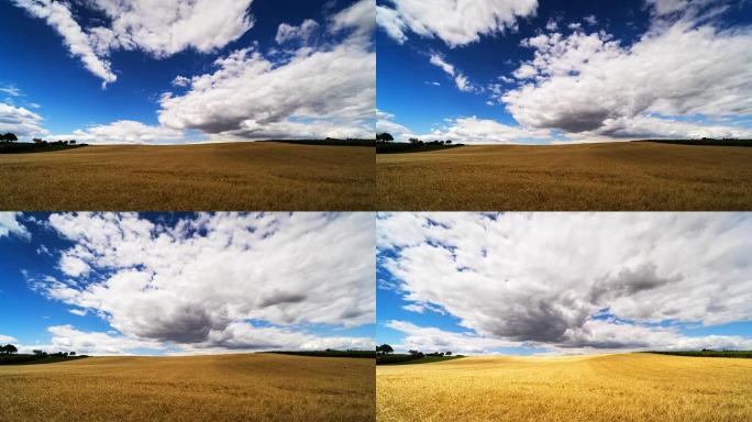 农业景观与戏剧性的天空