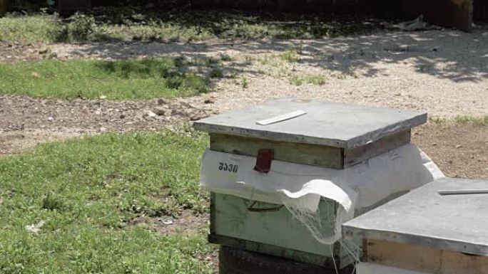 佐治亚州养蜂场的蜂巢