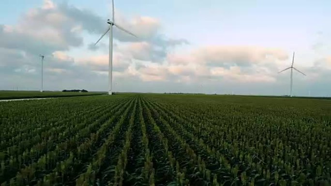 侧盘横穿成排的玉米无人机在风电场中观察风力涡轮机
