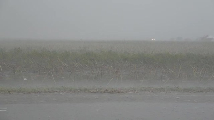 路上大雨