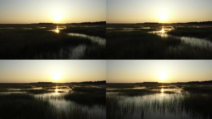 湿地日落