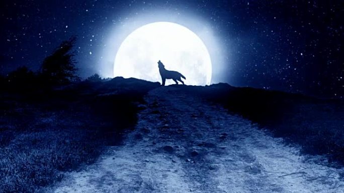 晚上在山上向月亮嚎叫的狼。
