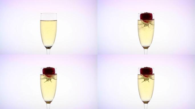 闪闪发光的香槟杯内的猩红色玫瑰花蕾。白色背景