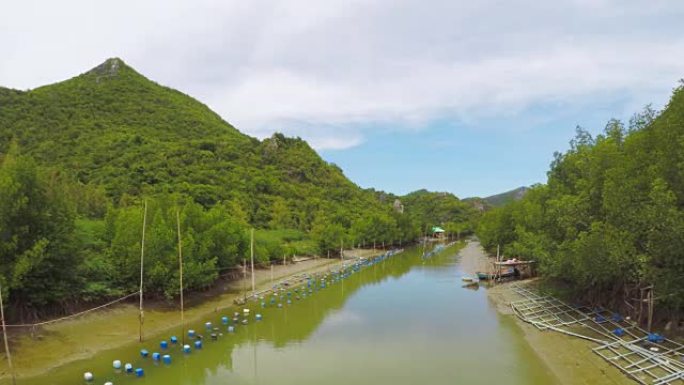 泰国考萨姆罗伊约特国家公园的红树林景观运河