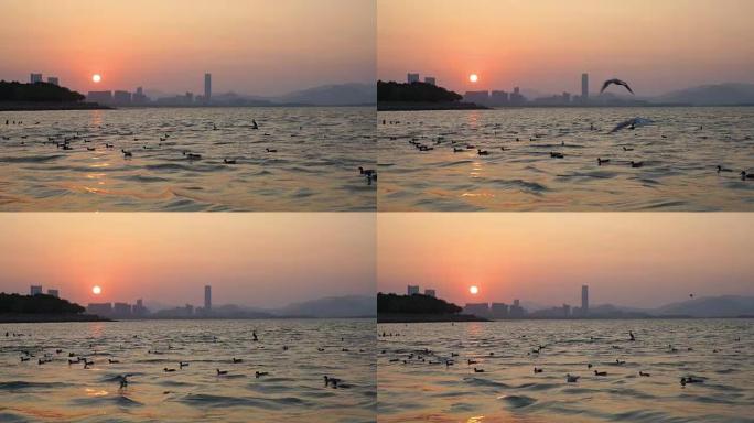 岩石海岸的日出和海鸥降落在海上