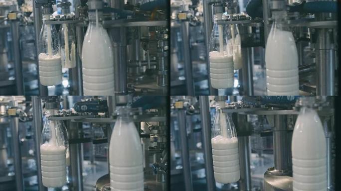 输送线，用于在牛奶工厂以全高清分辨率慢动作将乳制品倒入塑料瓶中。很多瓶子绕着传送带转