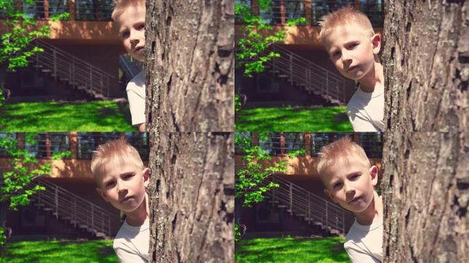 一个金发男孩从树后窥视，在阳光明媚的夏日玩捉迷藏