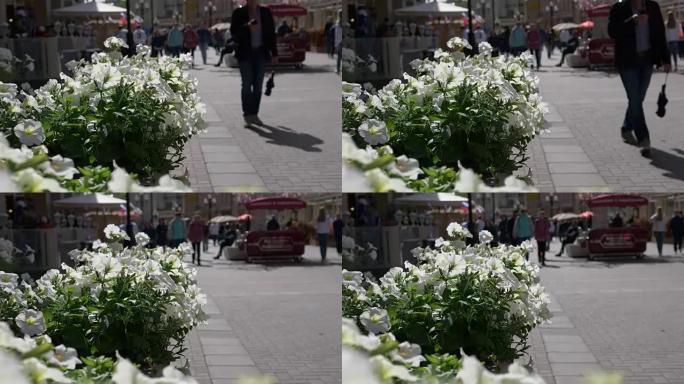 莫斯科，街头老阿尔巴特，鲜花，步行