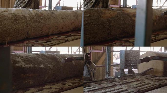 木工经营带原木的工业锯床