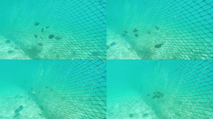 用于保护海岸免受海鱼侵害的网格
