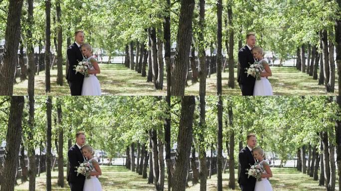 新娘和新郎在夏天在公园散步。亲吻和拥抱