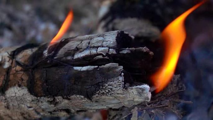 火和木炭的慢动作火焰