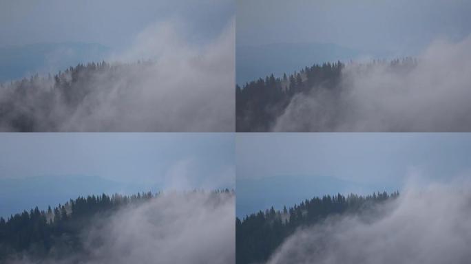 森林上空的云，雾，云景，时间流逝，阿尔卑斯山，巴伐利亚，4K