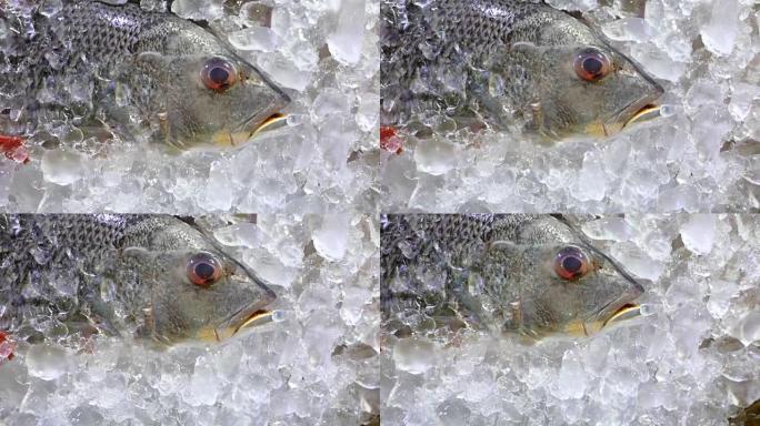 豪华海鲜餐厅的现场菜单上的银色冰镇鱼躺在冰上