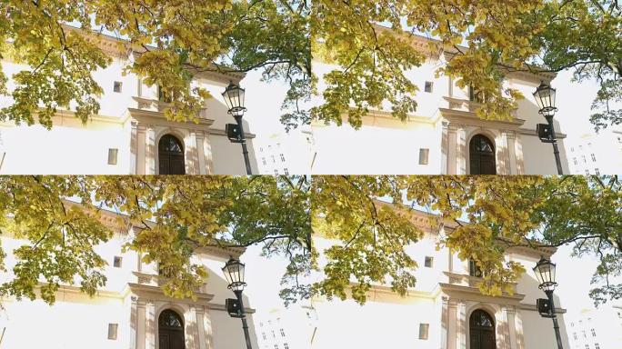 美丽的大树，秋天的黄叶在老别墅前，黄叶的树在老建筑和路灯的背景上