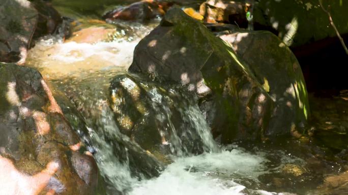 4kl1鼎湖山 小溪 溪涧流水