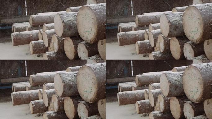 锯木厂的木屑掉落在原木堆上，并带有数字标记