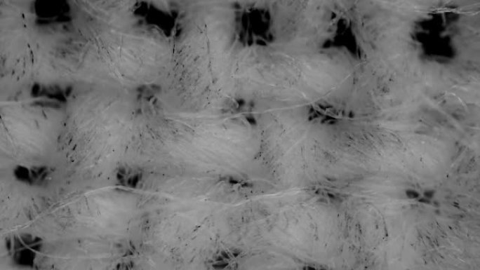 显微镜下的纤维白布或绷带