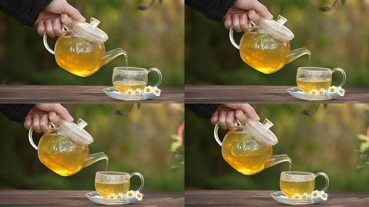 绿茶与甘菊杯