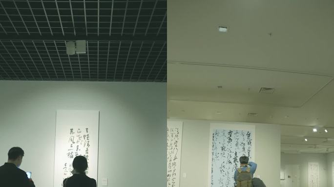 书法艺术展