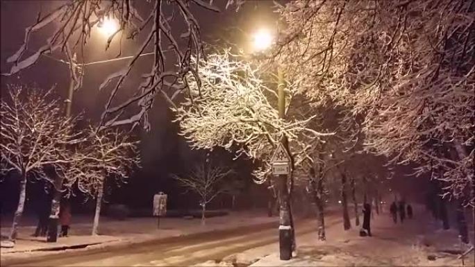 乌克兰基辅晚上大雪。
